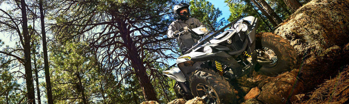 2018 Yamaha Grizzly for sale in Powersports of Montgomery, Montgomery, Alabama